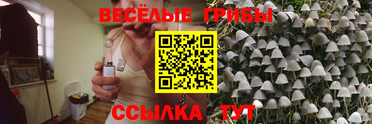 Галлюциногенные грибы Psilocybe Ижевск